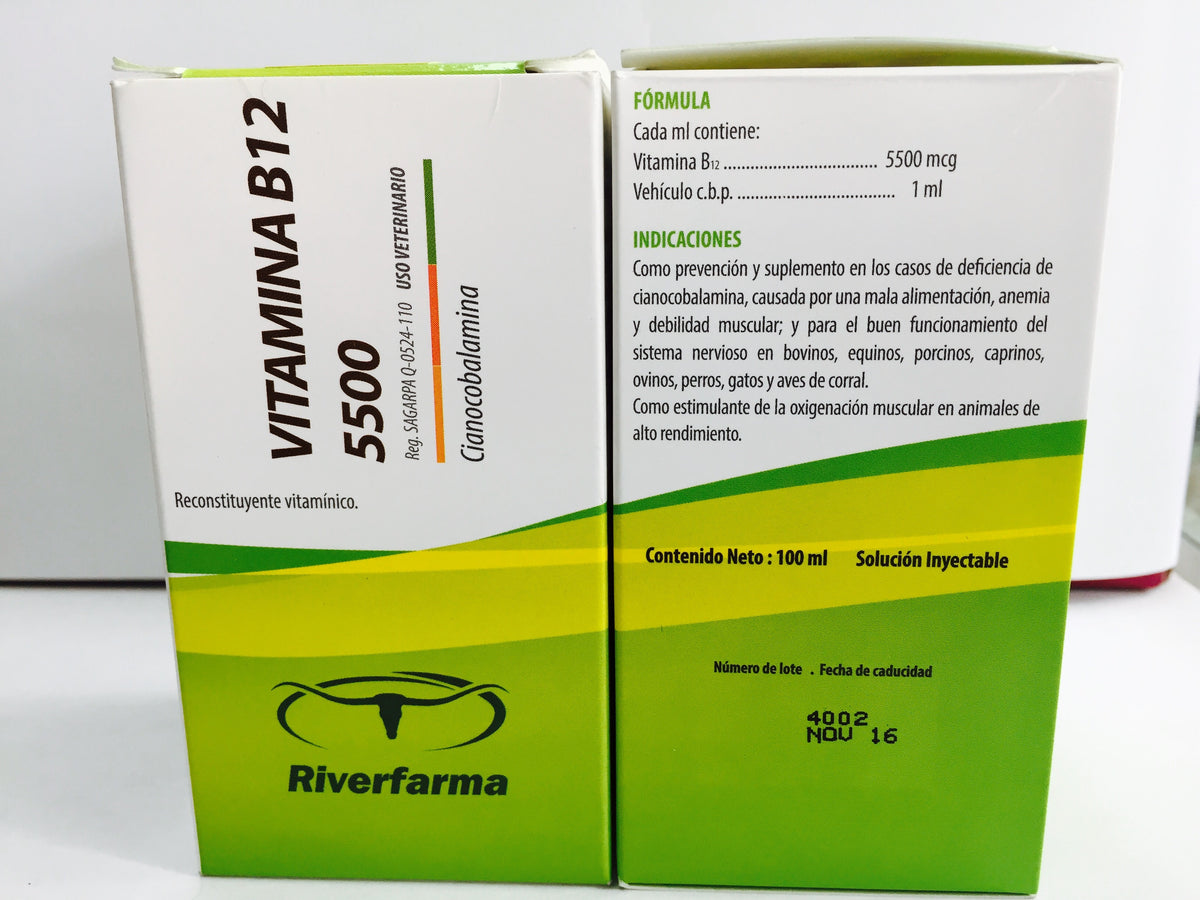 Vitamina B12 5500 One Stop GF Supplies Vitamina B12 5500 One Stop GF Supplies